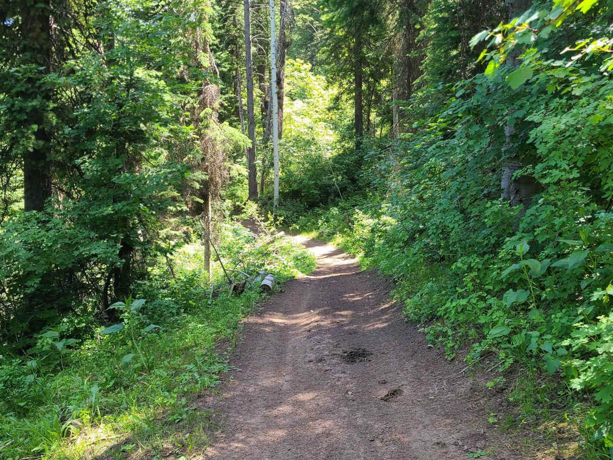 Sugar Creek photo 4