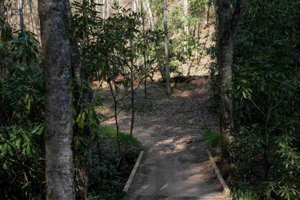 Hemlock Ridge Trail 7