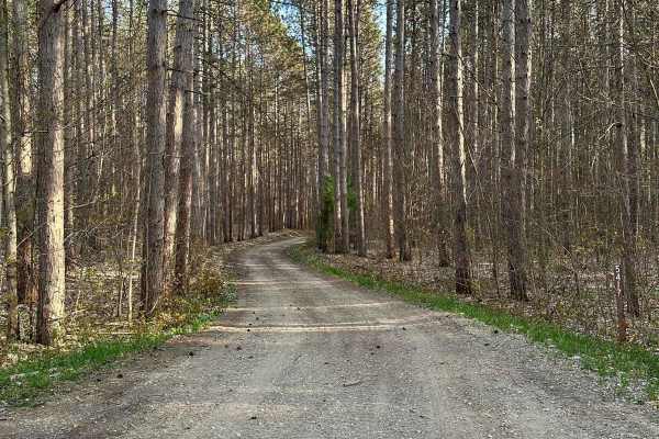 Cadillac Area ORV/OHV Scenic Ride - Part 4