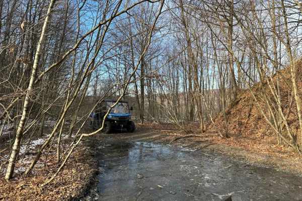 Locust Gap 7 - Northeast
