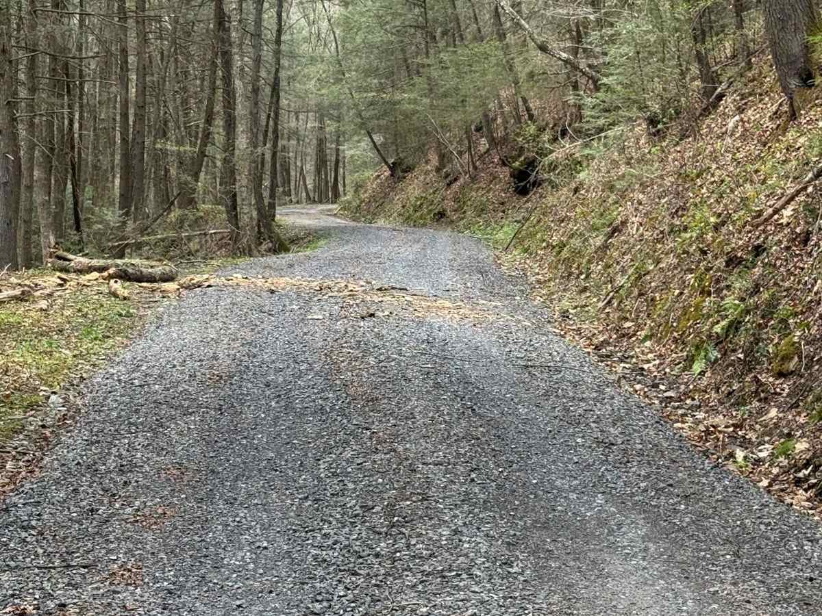 Trout Run Road North photo 6