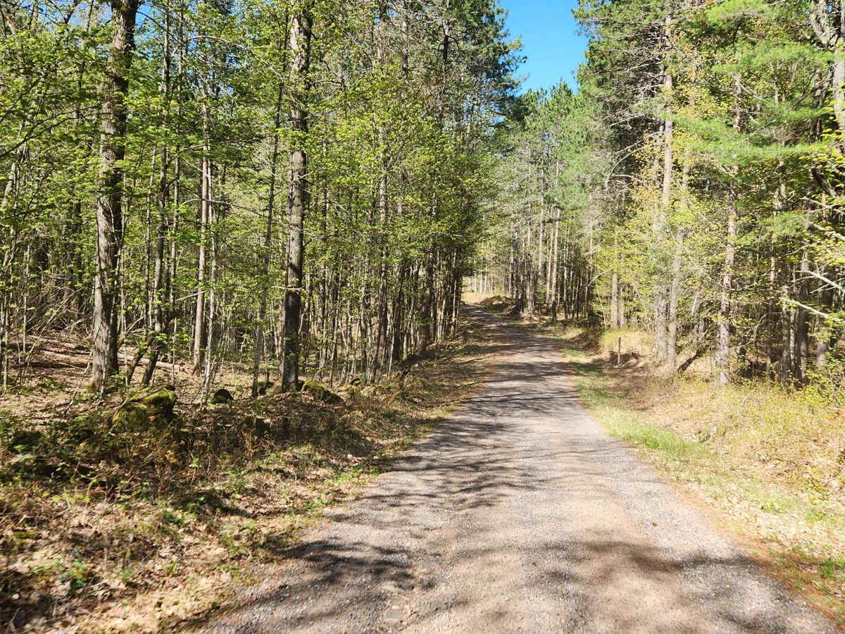 Trail 57 photo 6