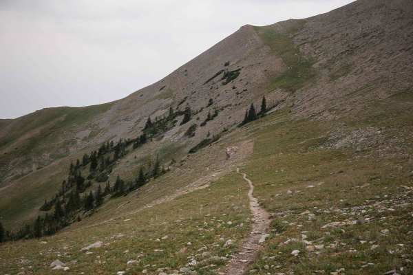 Corbly Gulch