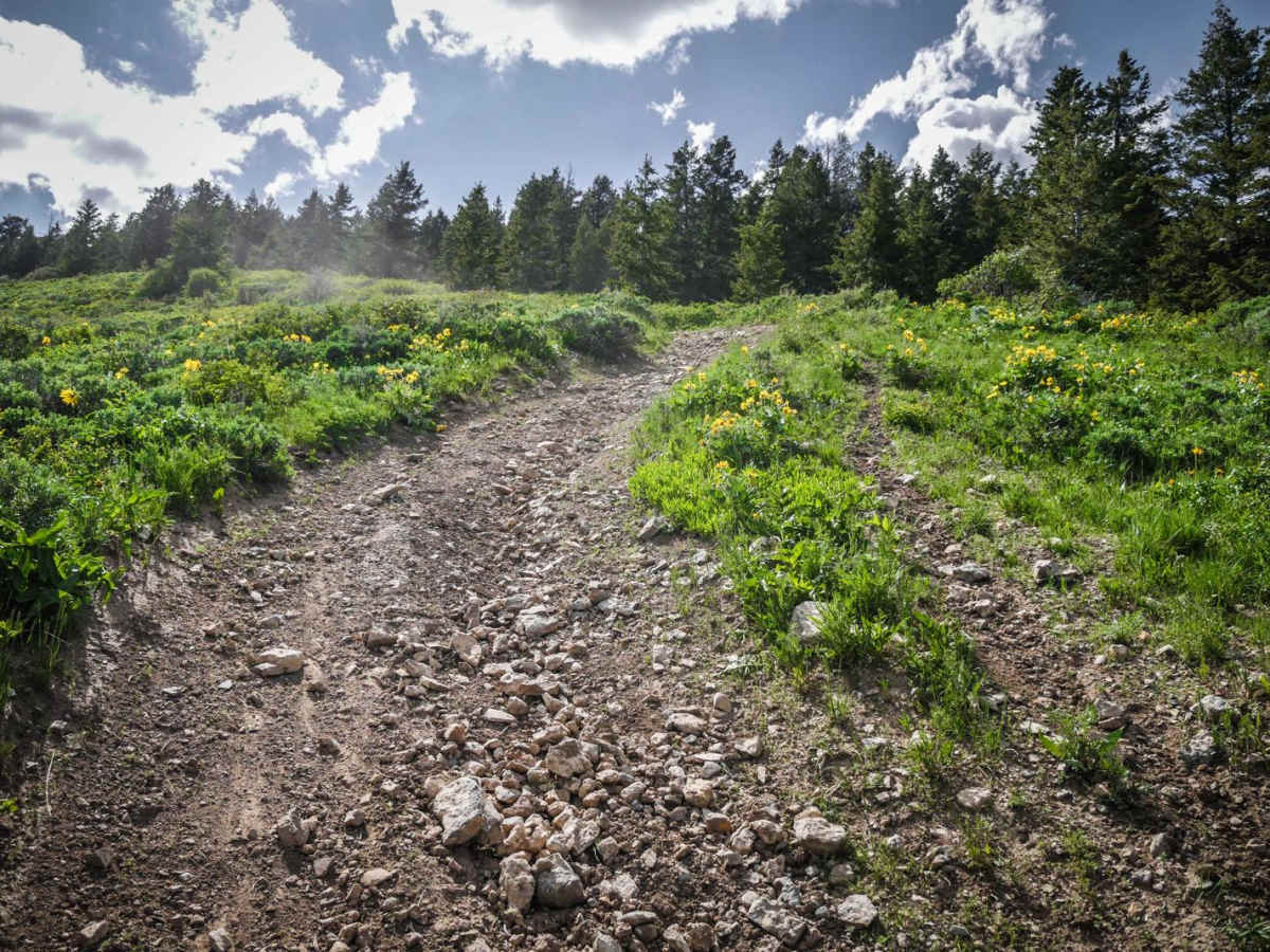 Clifton Basin to Weston Peak ATV 7433 (Part 1) trail photo