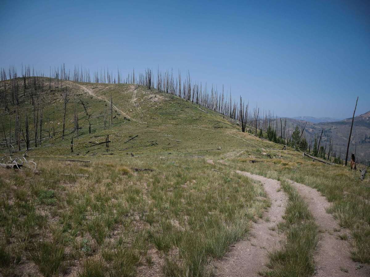 Upper Harden Creek ATV photo 2
