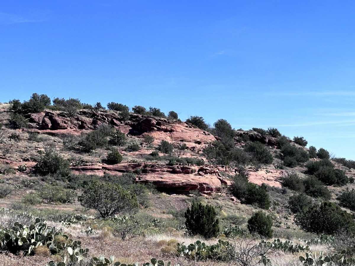 Red Rock Powerline Trail photo 4