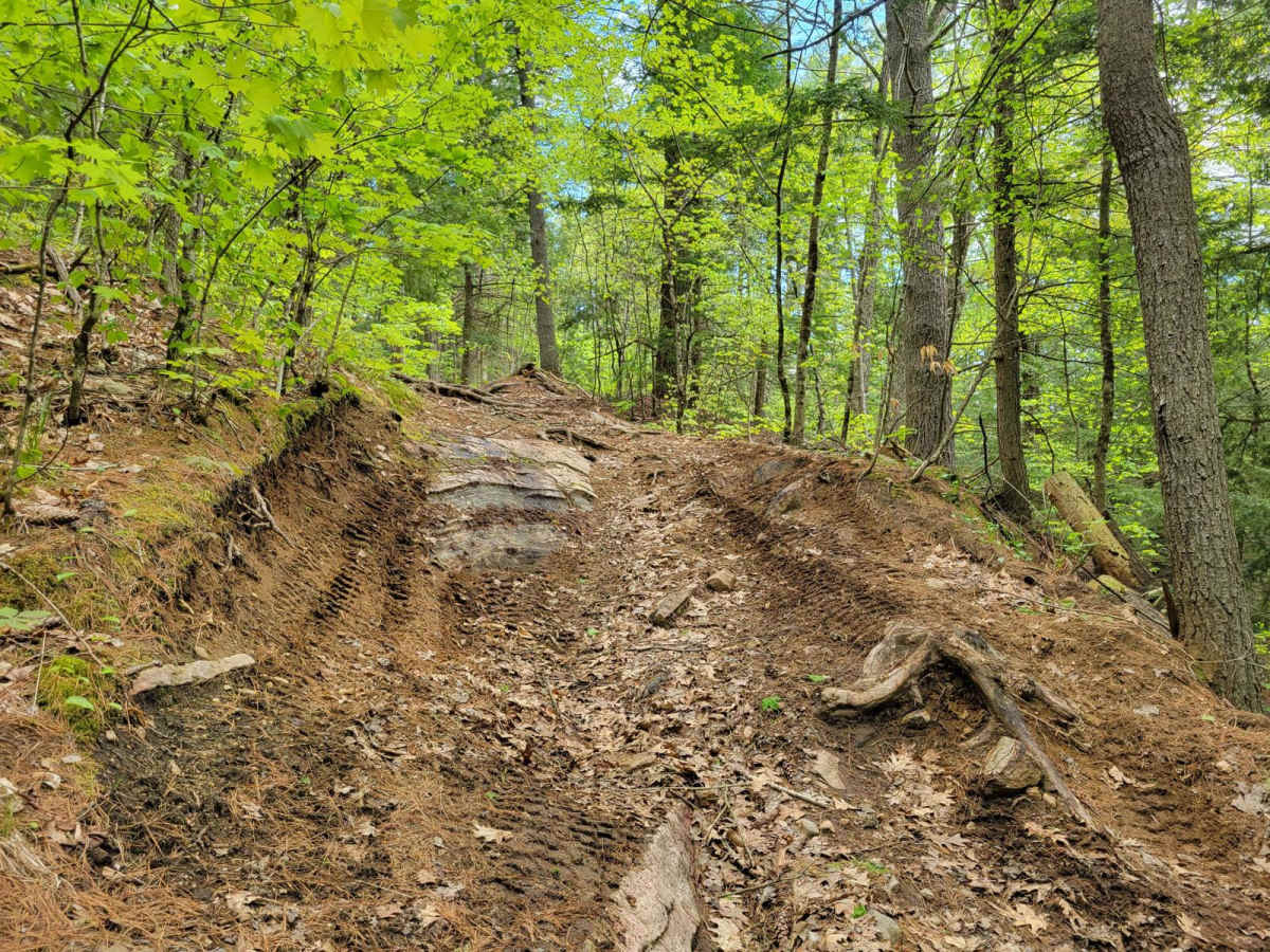 Quinn Loop Backdoor Trail photo 3