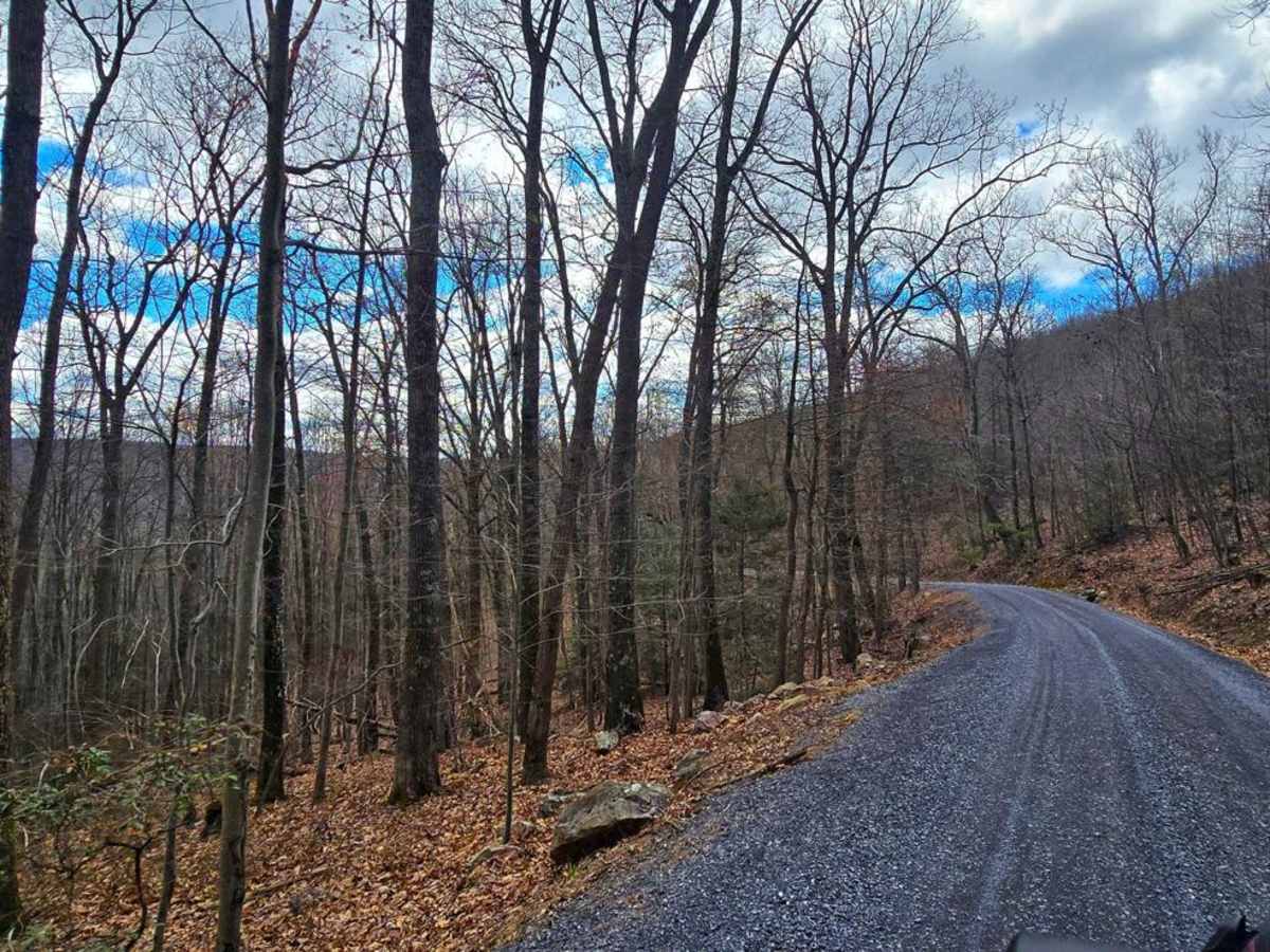 Swift Run Road photo 5
