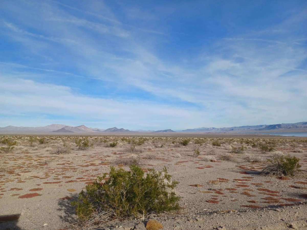 Tamarisk Road photo 3