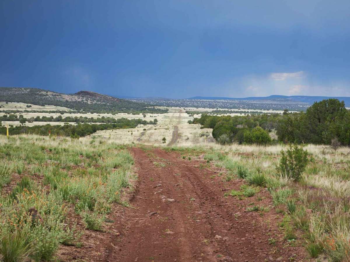 Pipeline Road 796 photo 4