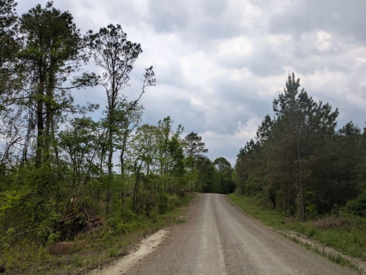 Gillham Lake Road photo 6