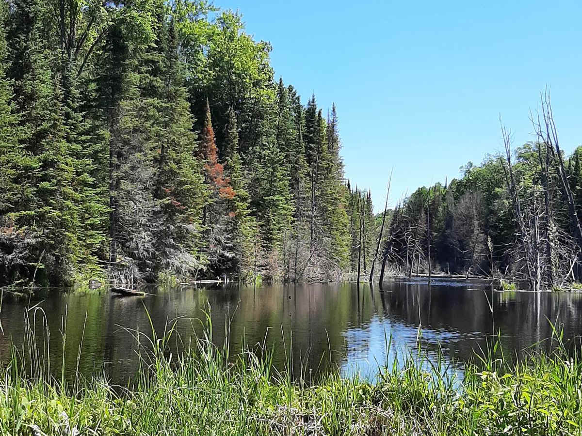 Gooderham trail photo