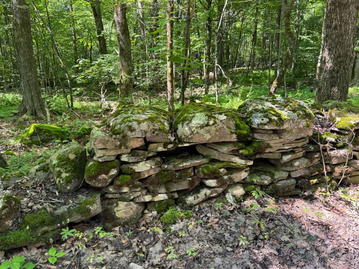 Townsend Hollow Road photo 5