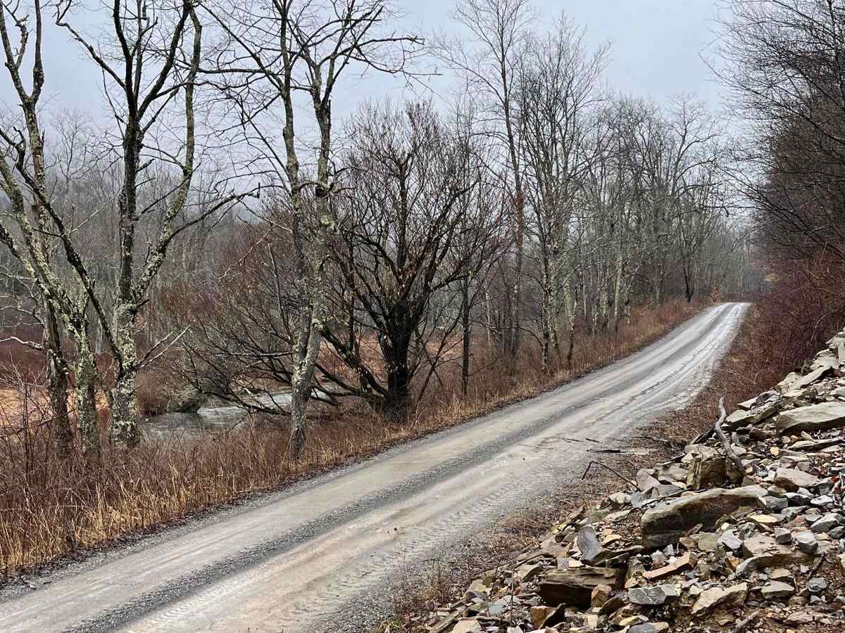 Glady Durbin trail photo
