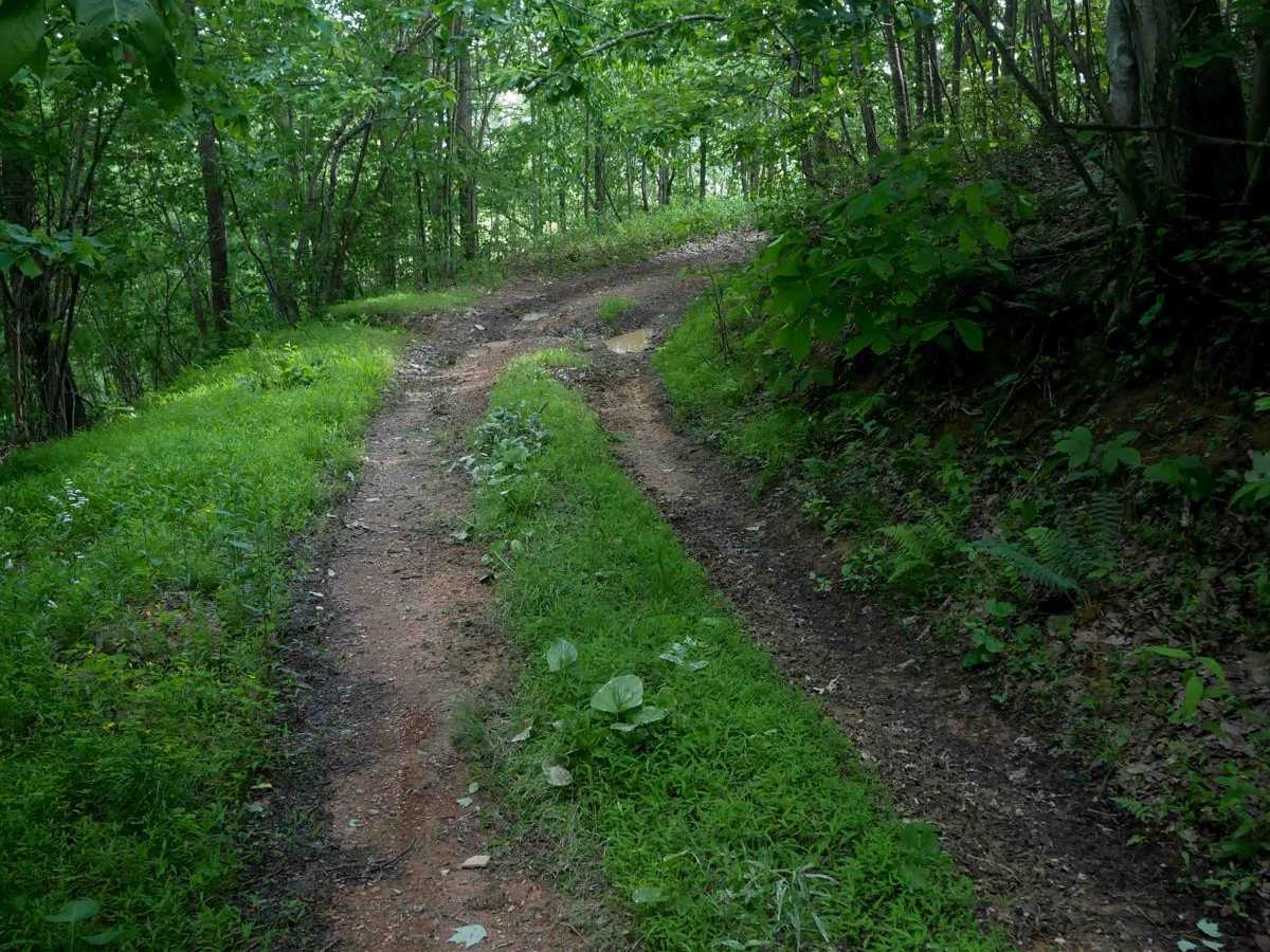 RV21 trail photo