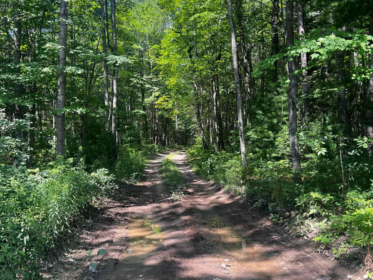 River Overlook Trail photo 2