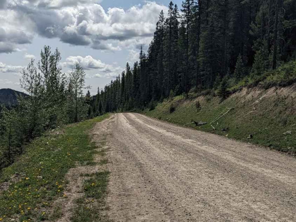 Alexander Creek Forestry Road photo 4