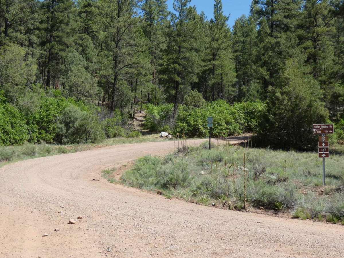 Green Camp Canyon photo 2