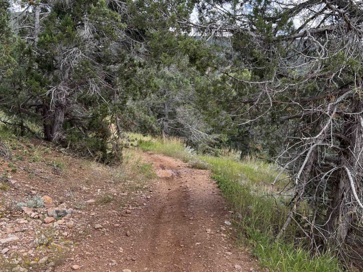 Mapleton-Sawmill Hollow (8013) photo 3