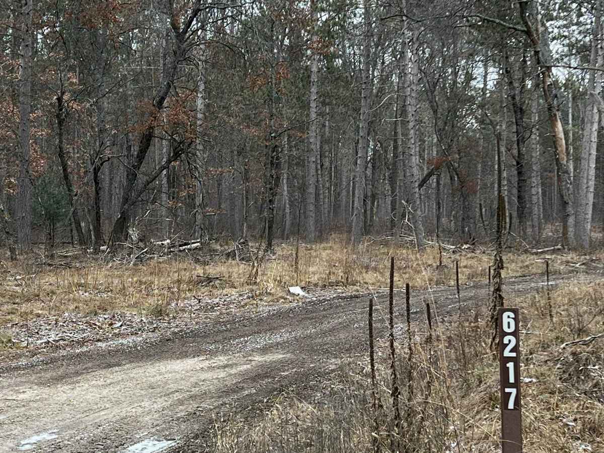 NFS 6217 trail photo