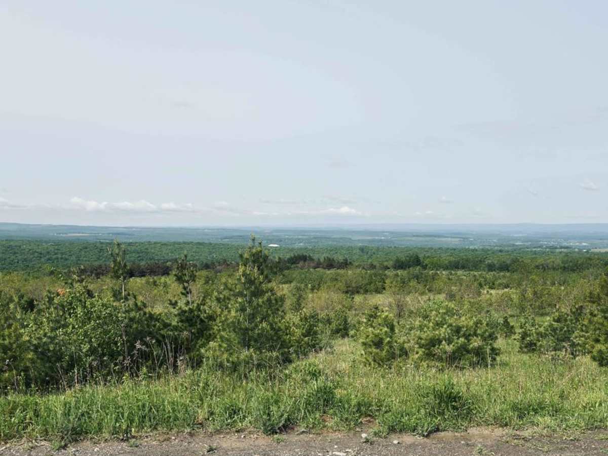 Wounded Warrior Road trail photo