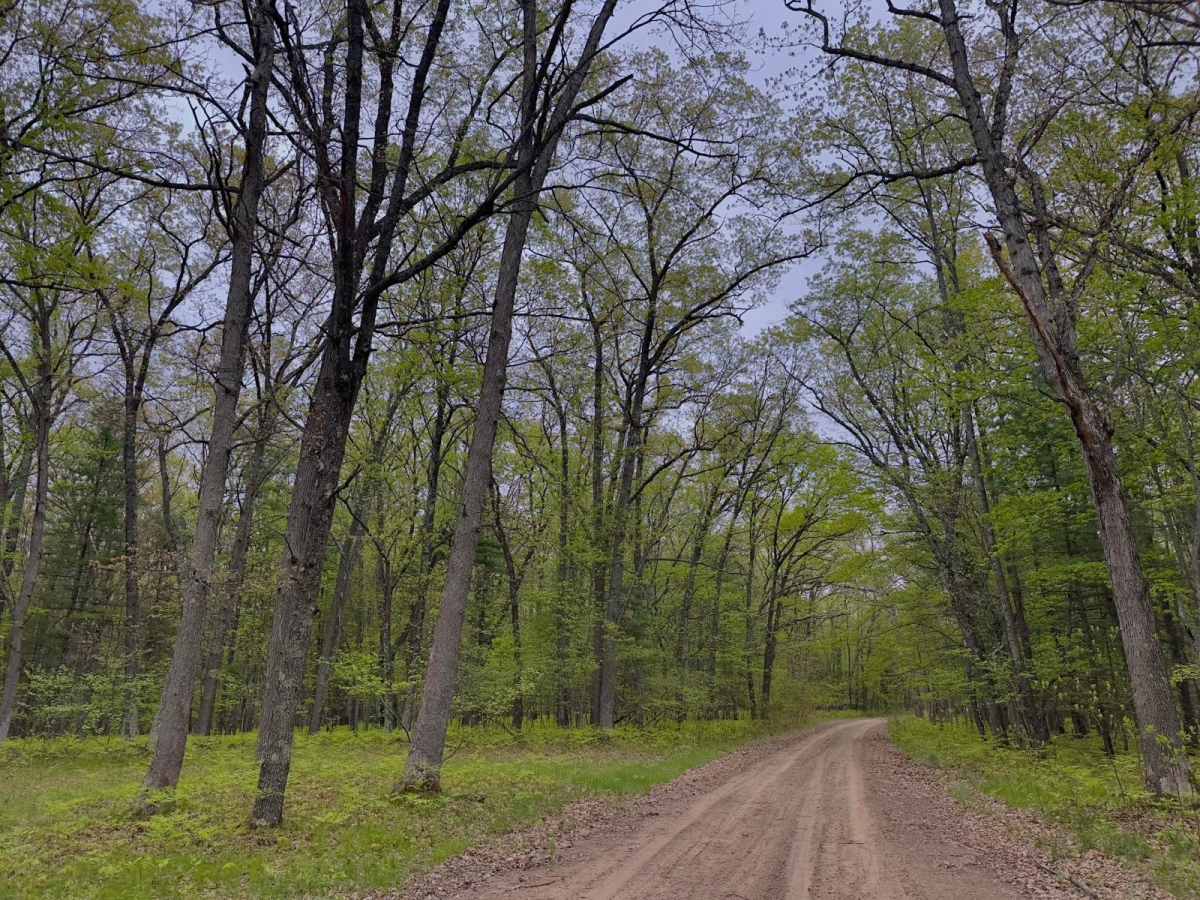West Eden Mountain Road photo 3