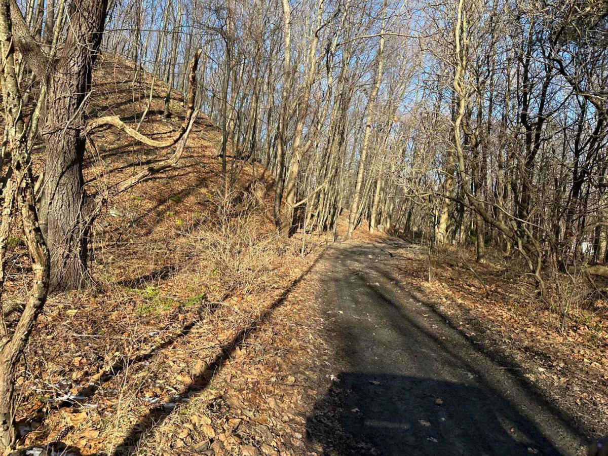 Locust Gap Highway photo 5