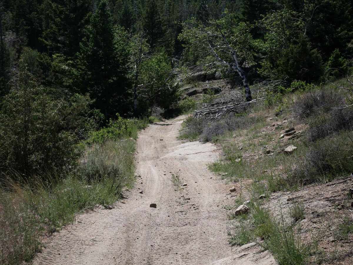 Canyon ATV Trail photo 2