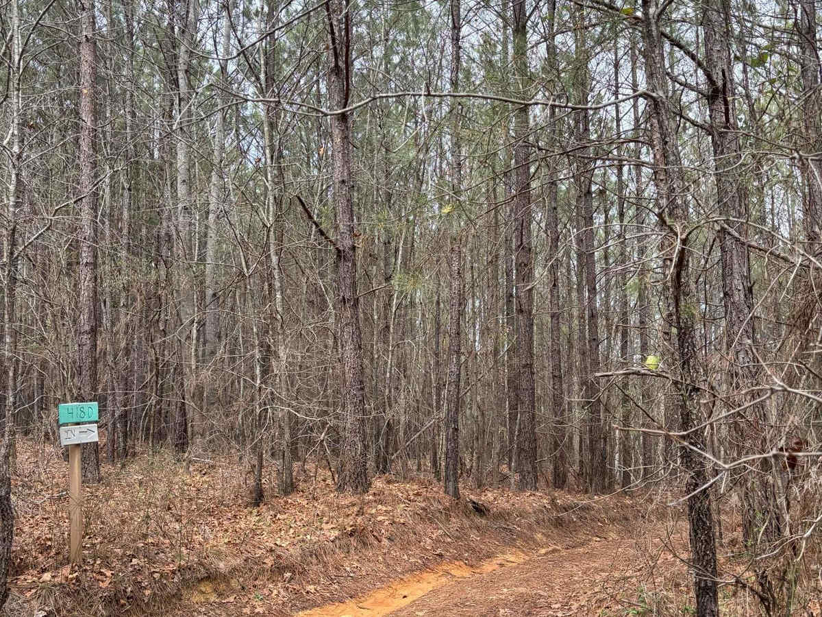 418D trail photo