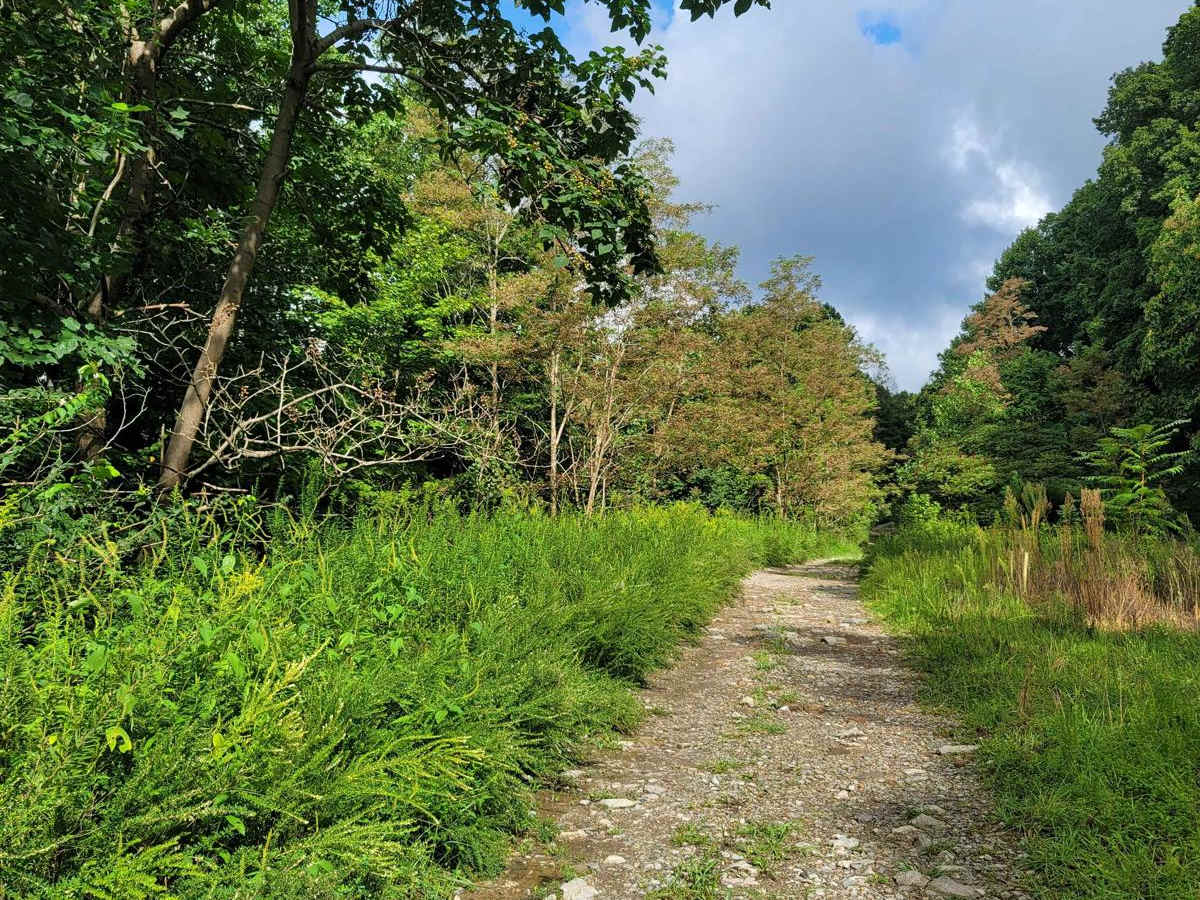 G3 trail photo