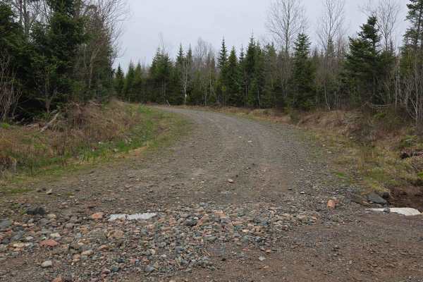 Totten Meadow Trail
