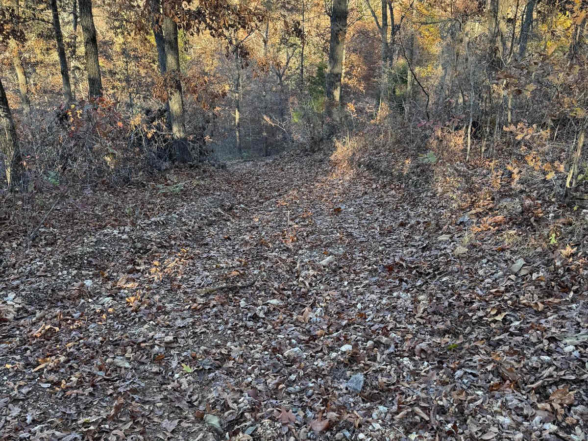 Red 148 trail photo