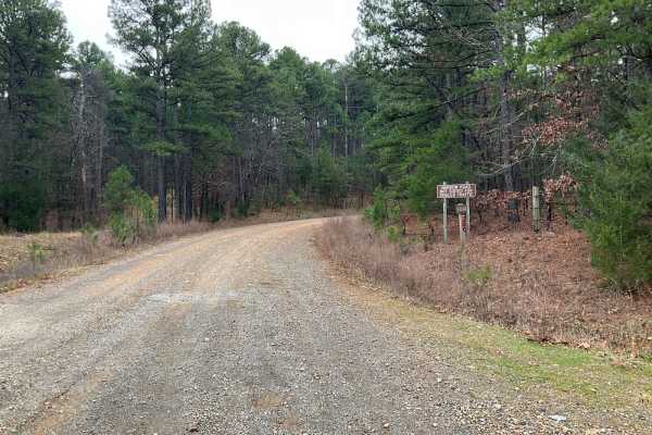 Tall Cedar Trail