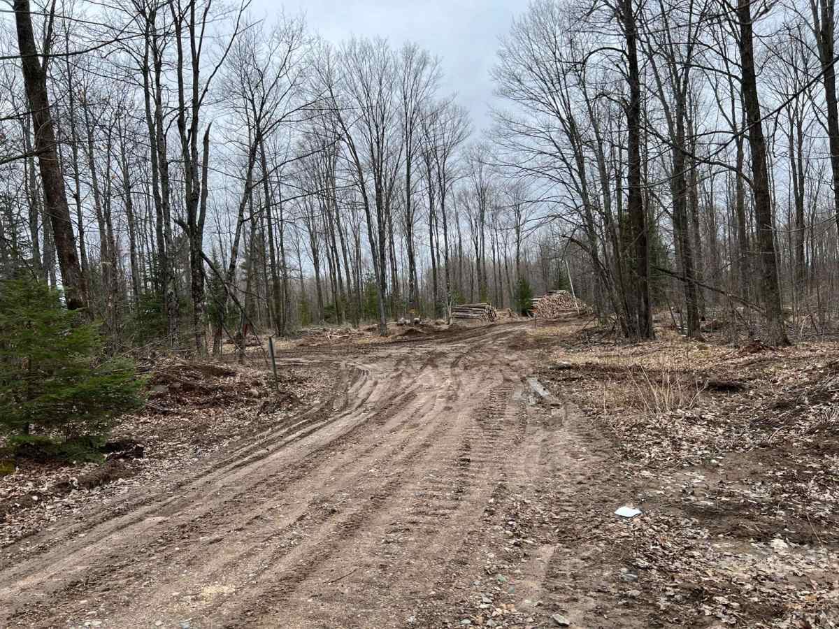 Wolf River to Junction 22A photo 3