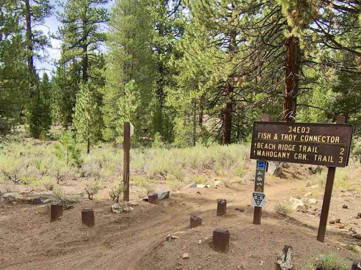Campground Connector trail photo