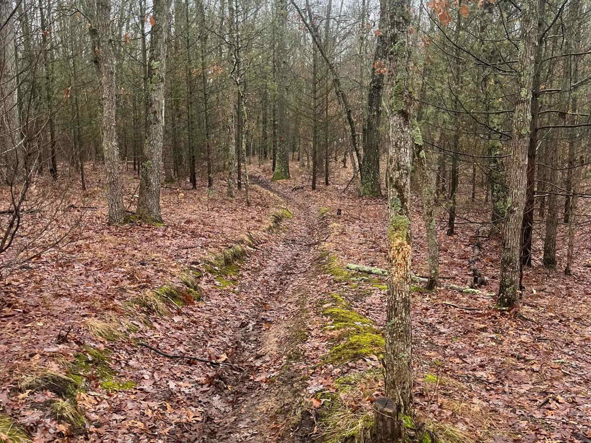 Horseshoe Motorcycle Trail Part 5 photo 2