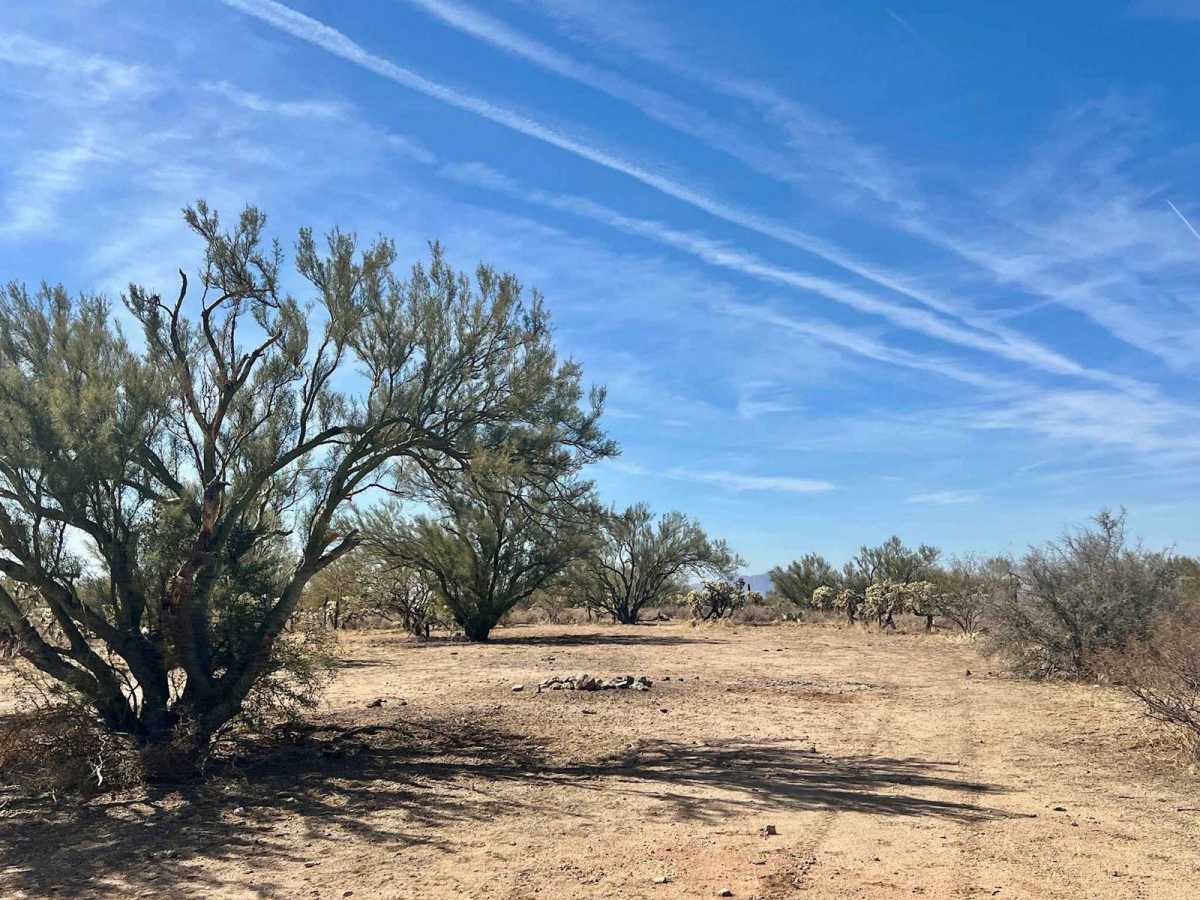 Coyote Peak West photo 3