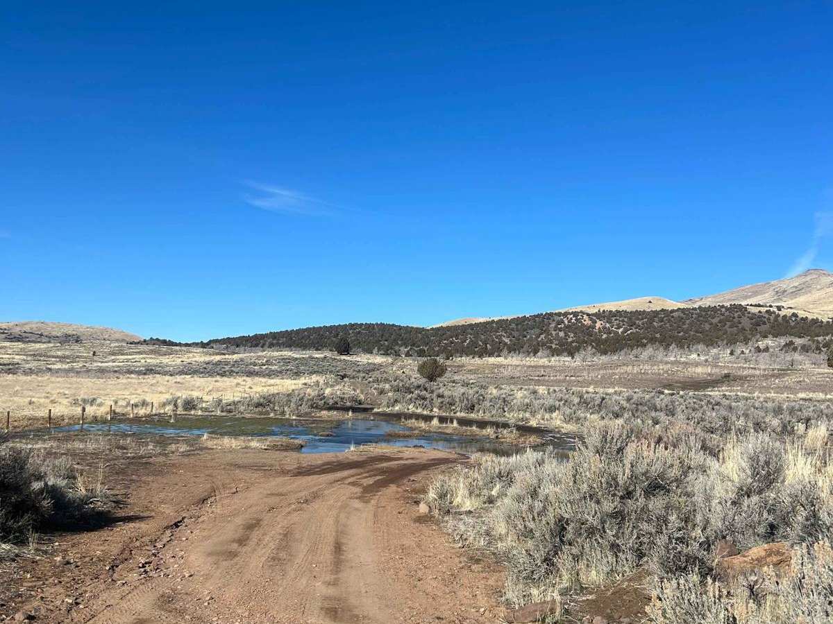 Jumbo Ranch Run trail photo