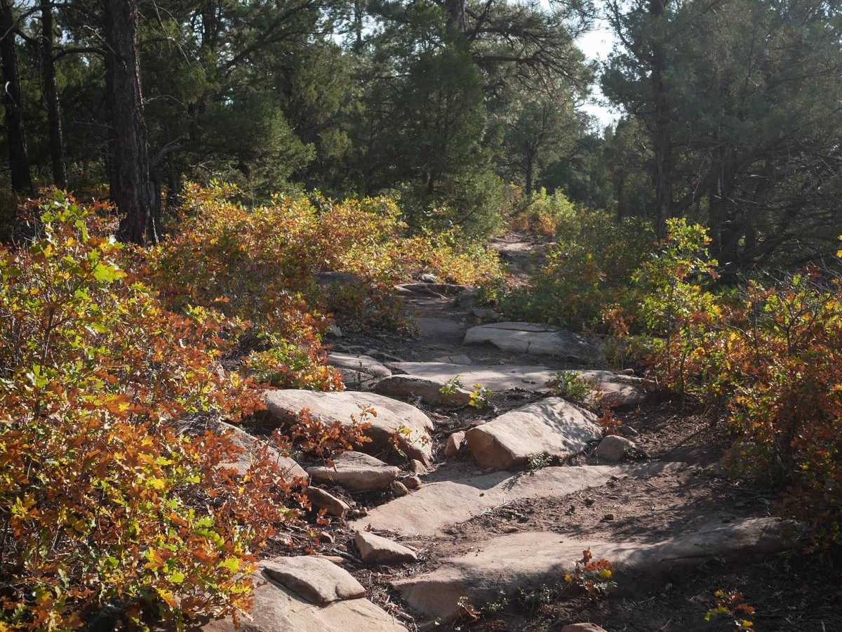 Thunder trail photo