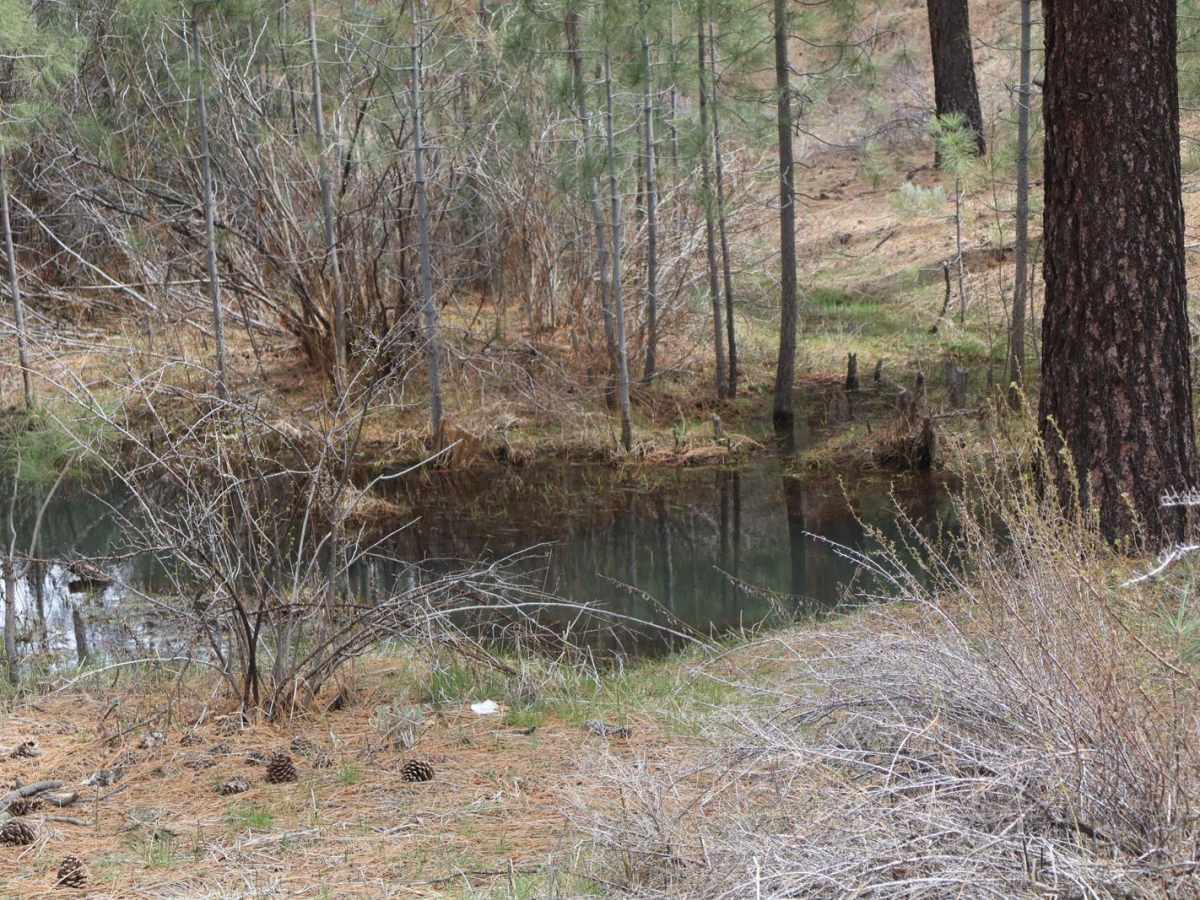 Long Valley Road photo 5