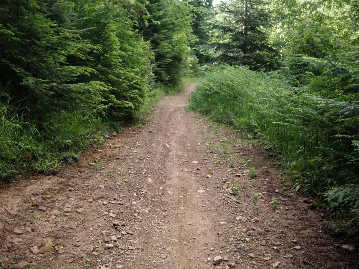 Canfield Mountain - Trail A (East) photo 6