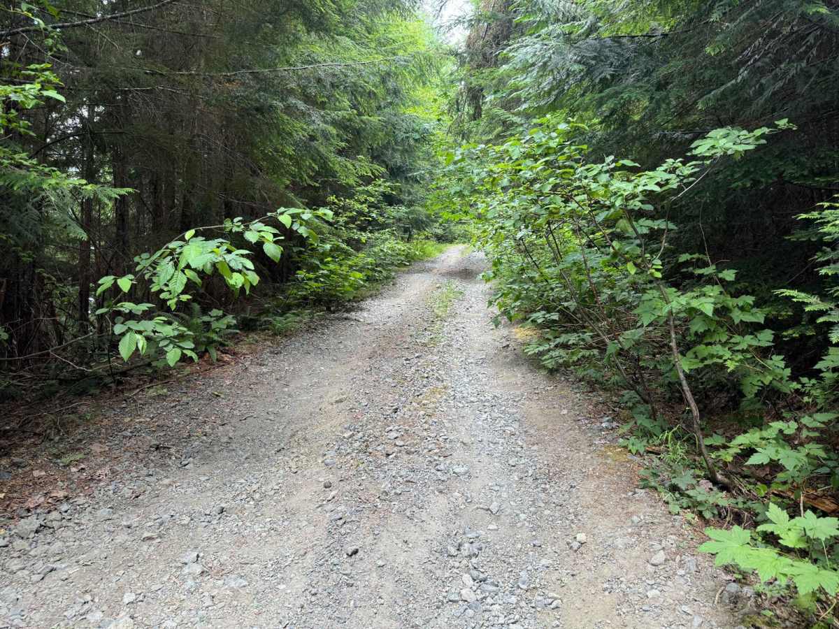 Bedal Creek photo 4