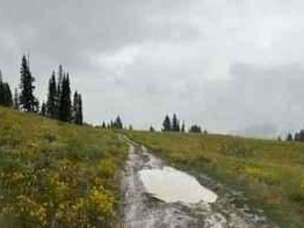Burnt Mountain Road - FR651 photo 2