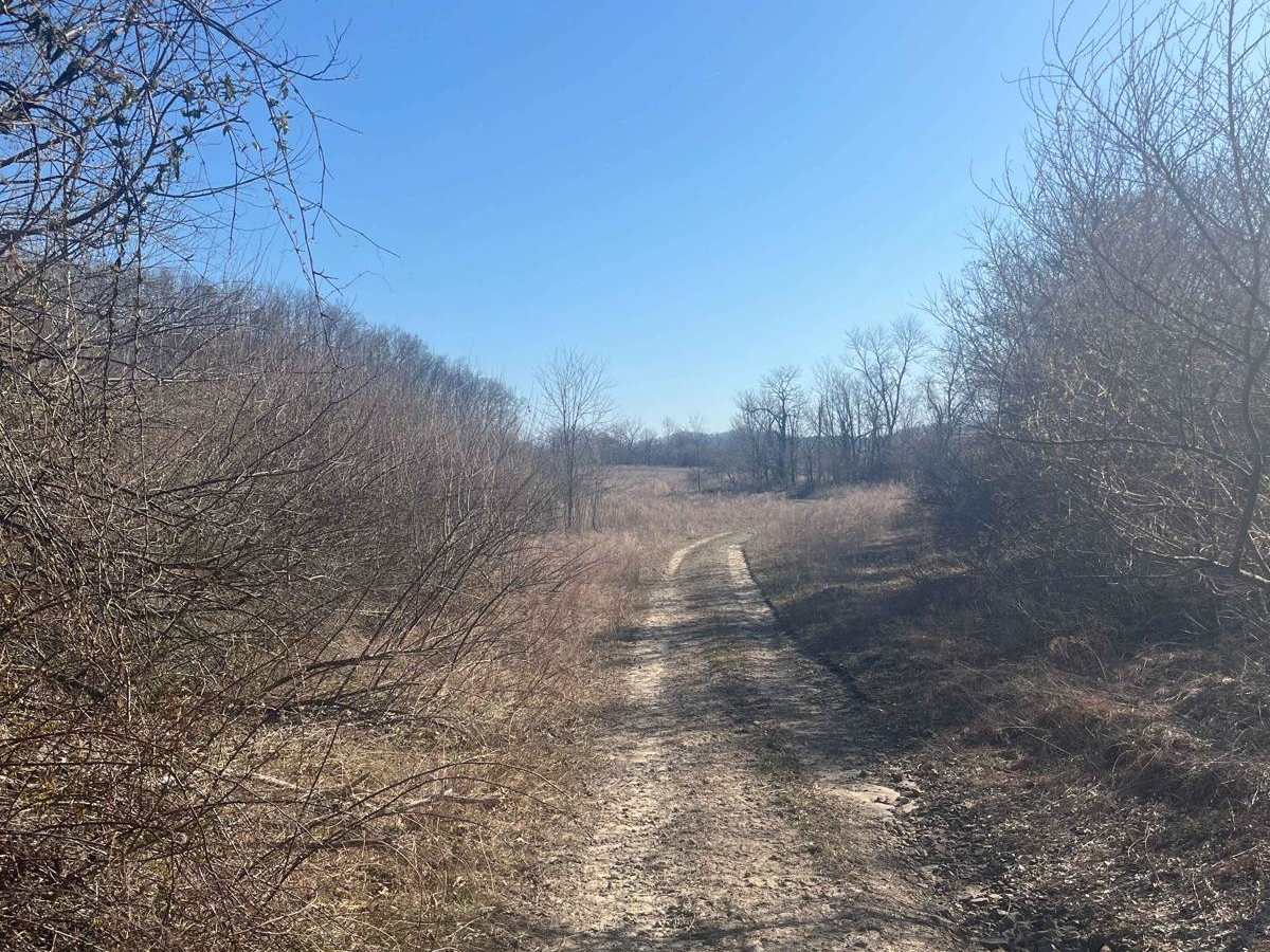 Trail 22 (Lovers Lane) photo 4