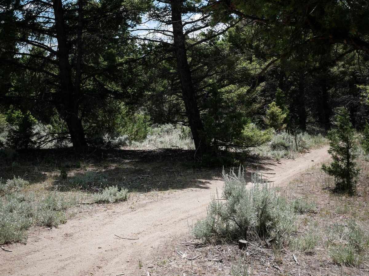 Moto St Downhill photo 5