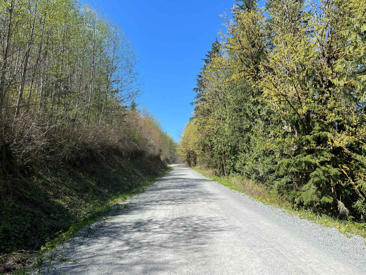 Lake Cavanaugh Road photo 2