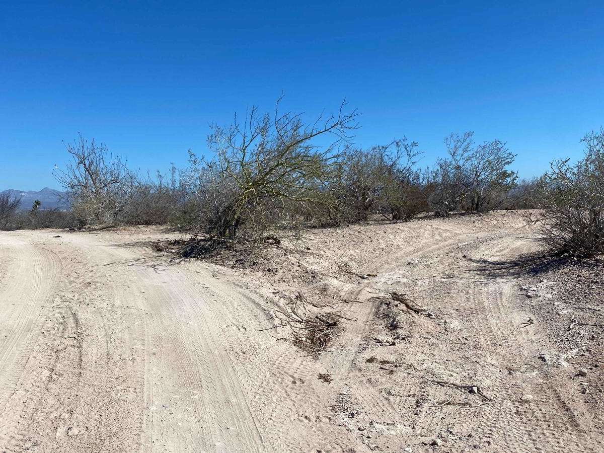 Lopez Loop photo 4