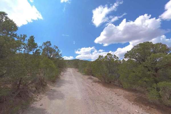 Albinus Canyon- Elsinore Mountain Road- FS 40105