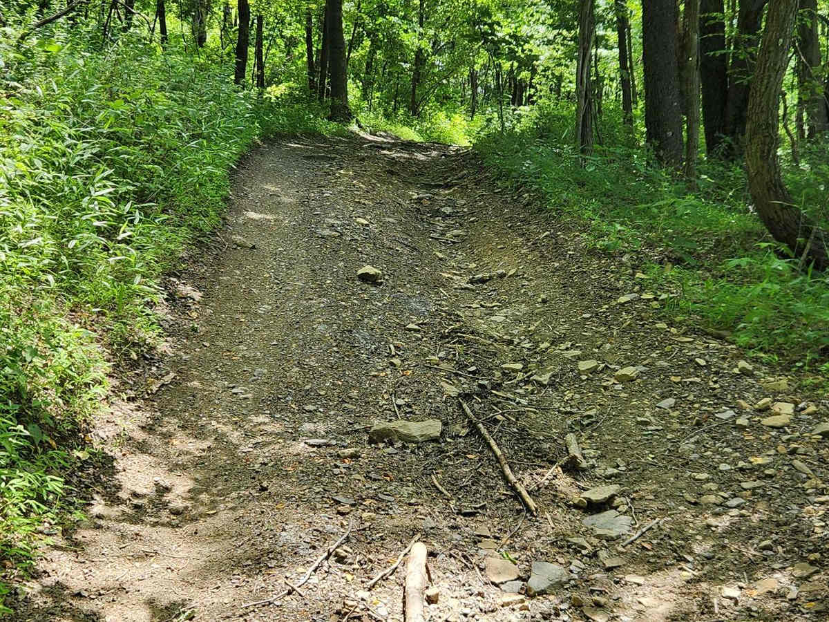 Trail 6A - Rock Run Recreation Area photo 3
