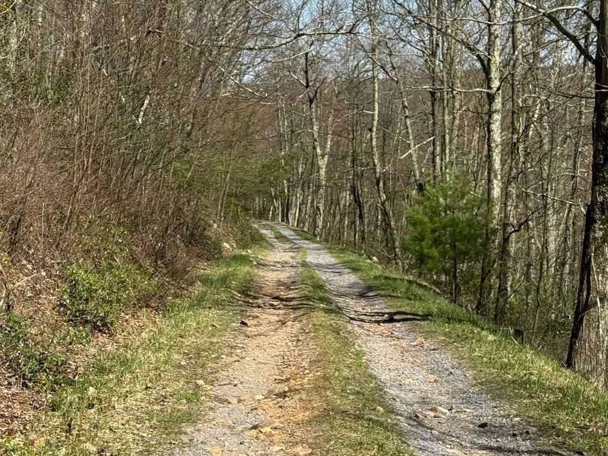 Longwell Draft Road photo 4